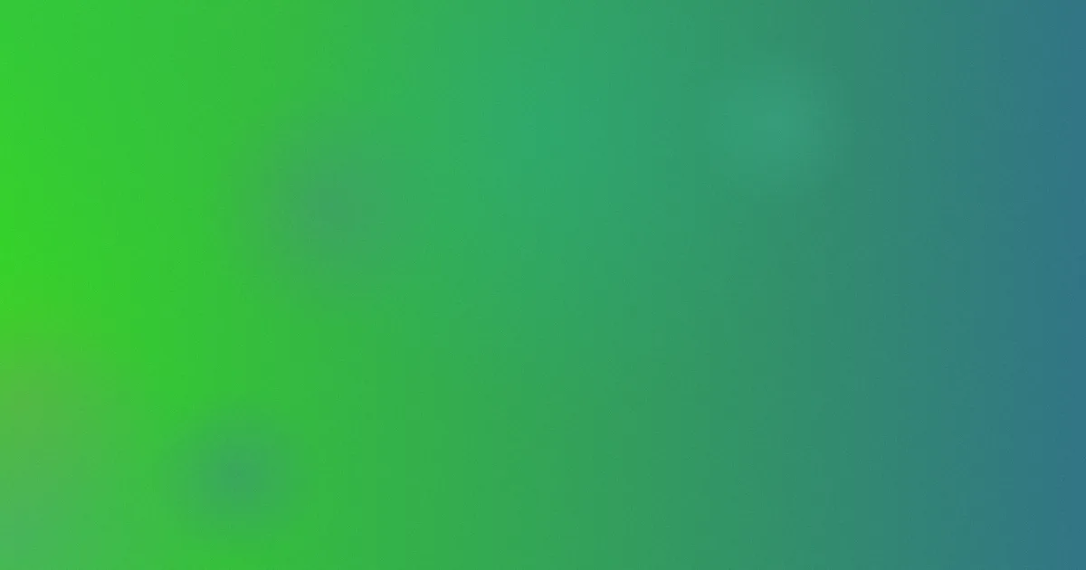 性感美臀推荐：新手方案逐项对比